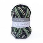 Stripy Casagrande, 210m/50g 30.